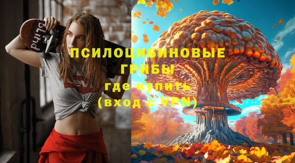 стаф Наволоки